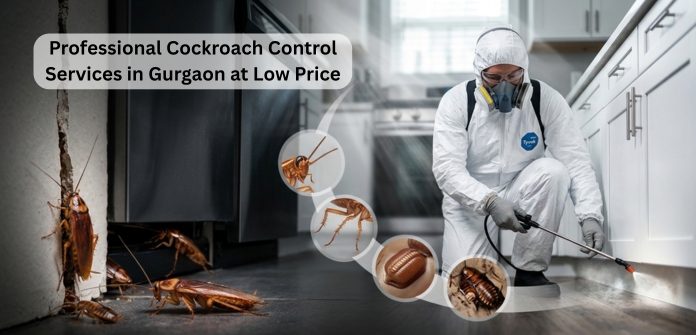 Pest Control Services in Gaziabaad