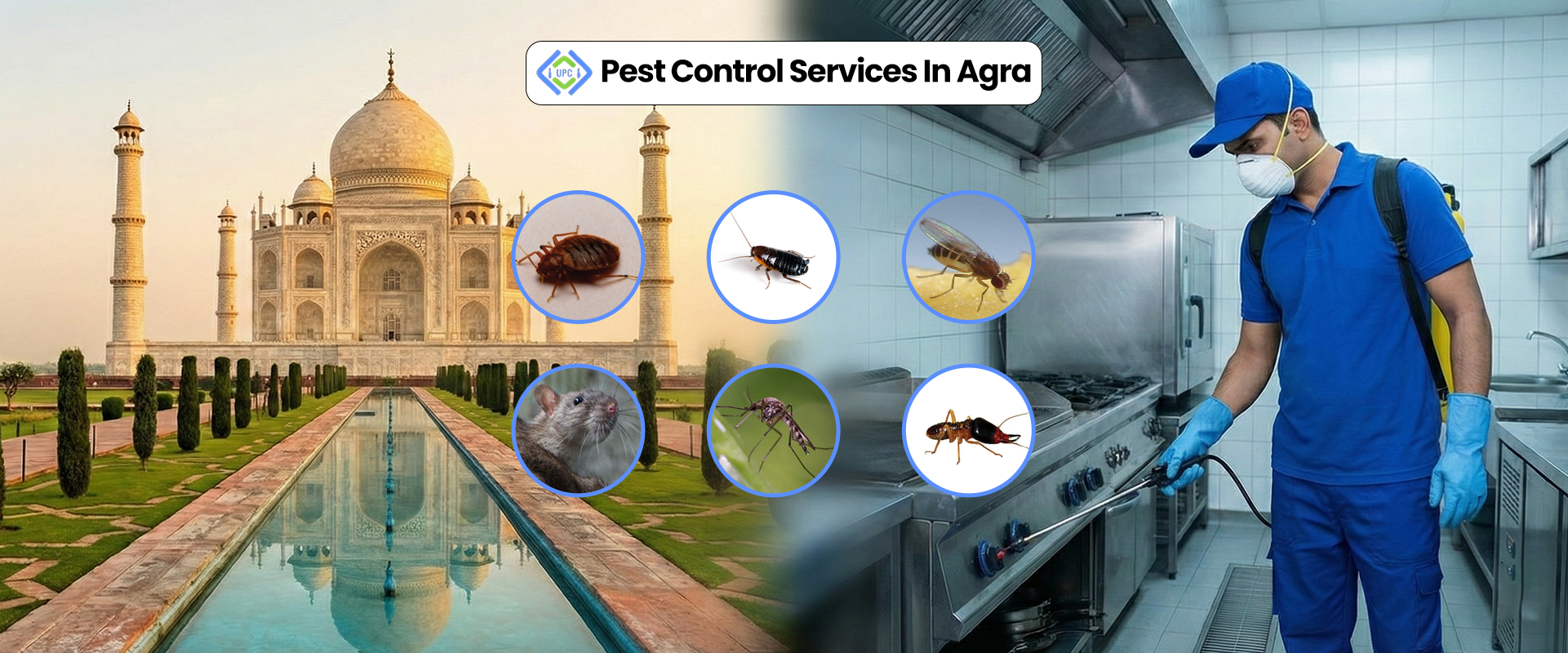 Pest Control Services in Agra