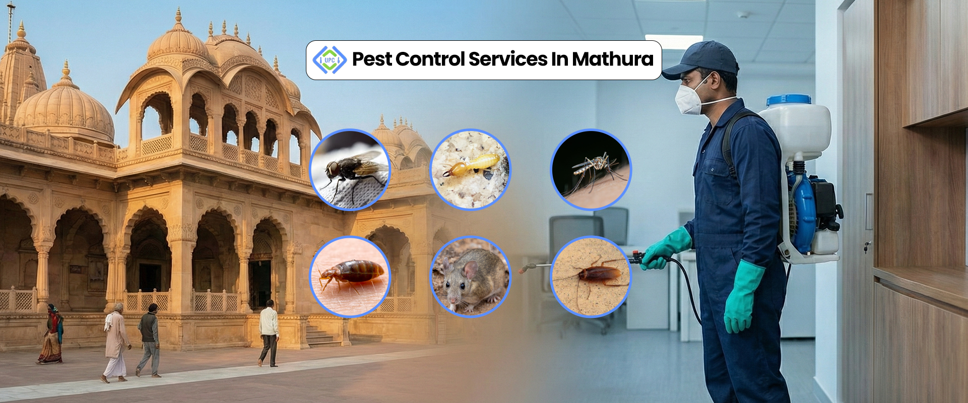 Pest Control Services in Mathura