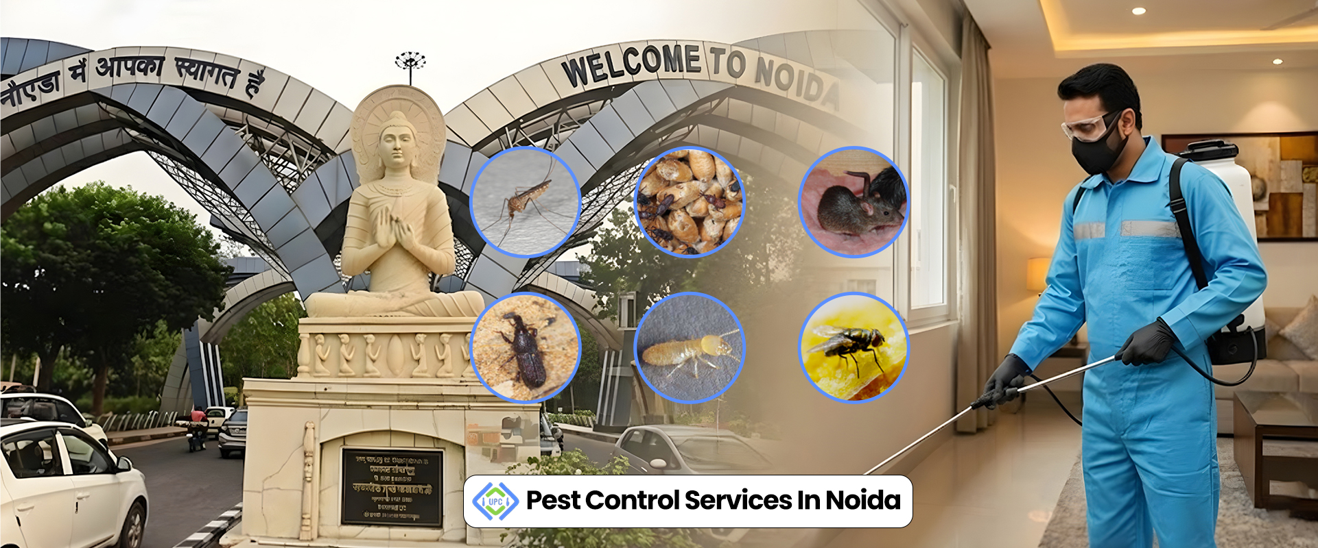 Pest Control Services in Noida