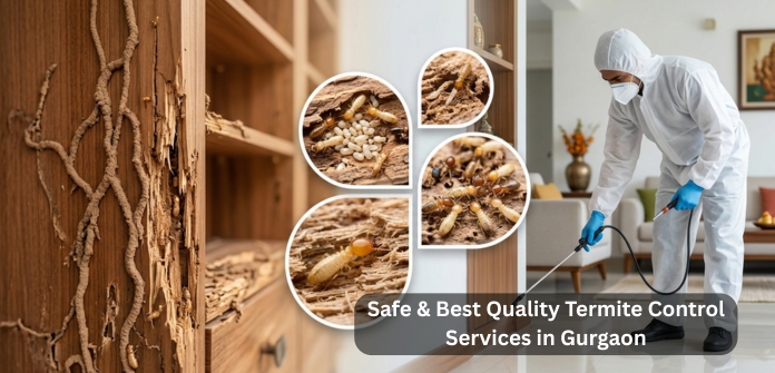 Termite Control Services